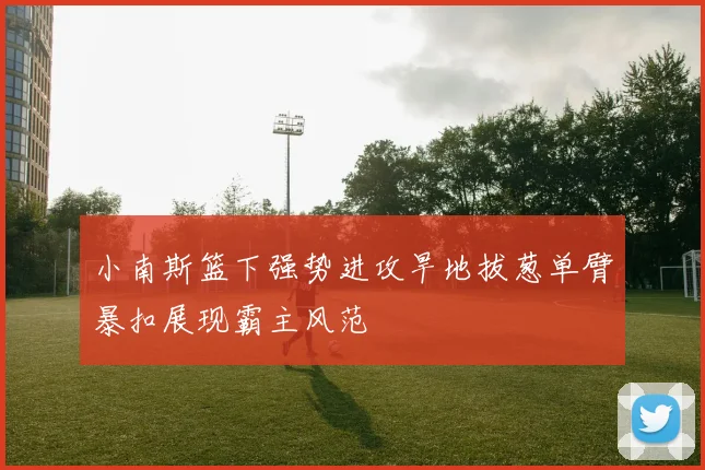小南斯篮下强势进攻旱地拔葱单臂暴扣展现霸主风范