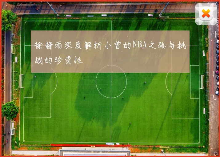 徐静雨深度解析小曾的NBA之路与挑战的珍贵性