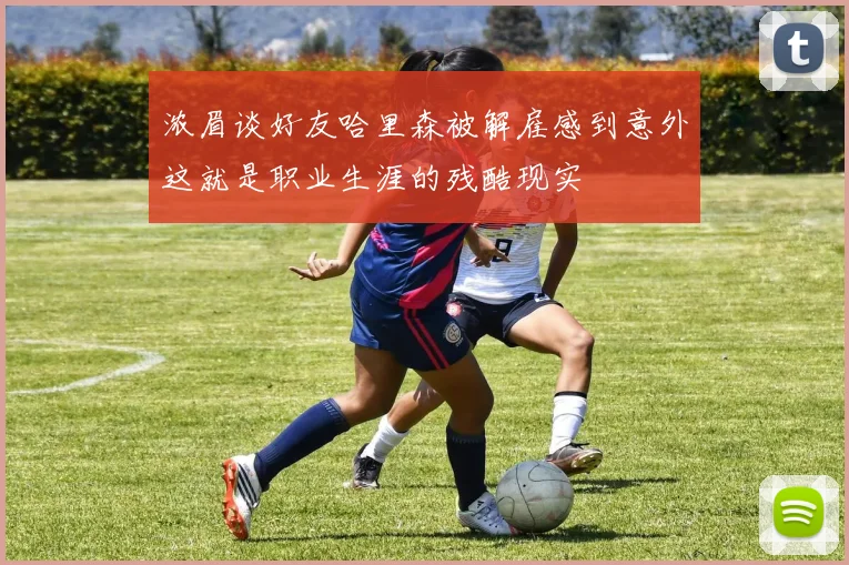 浓眉谈好友哈里森被解雇感到意外这就是职业生涯的残酷现实